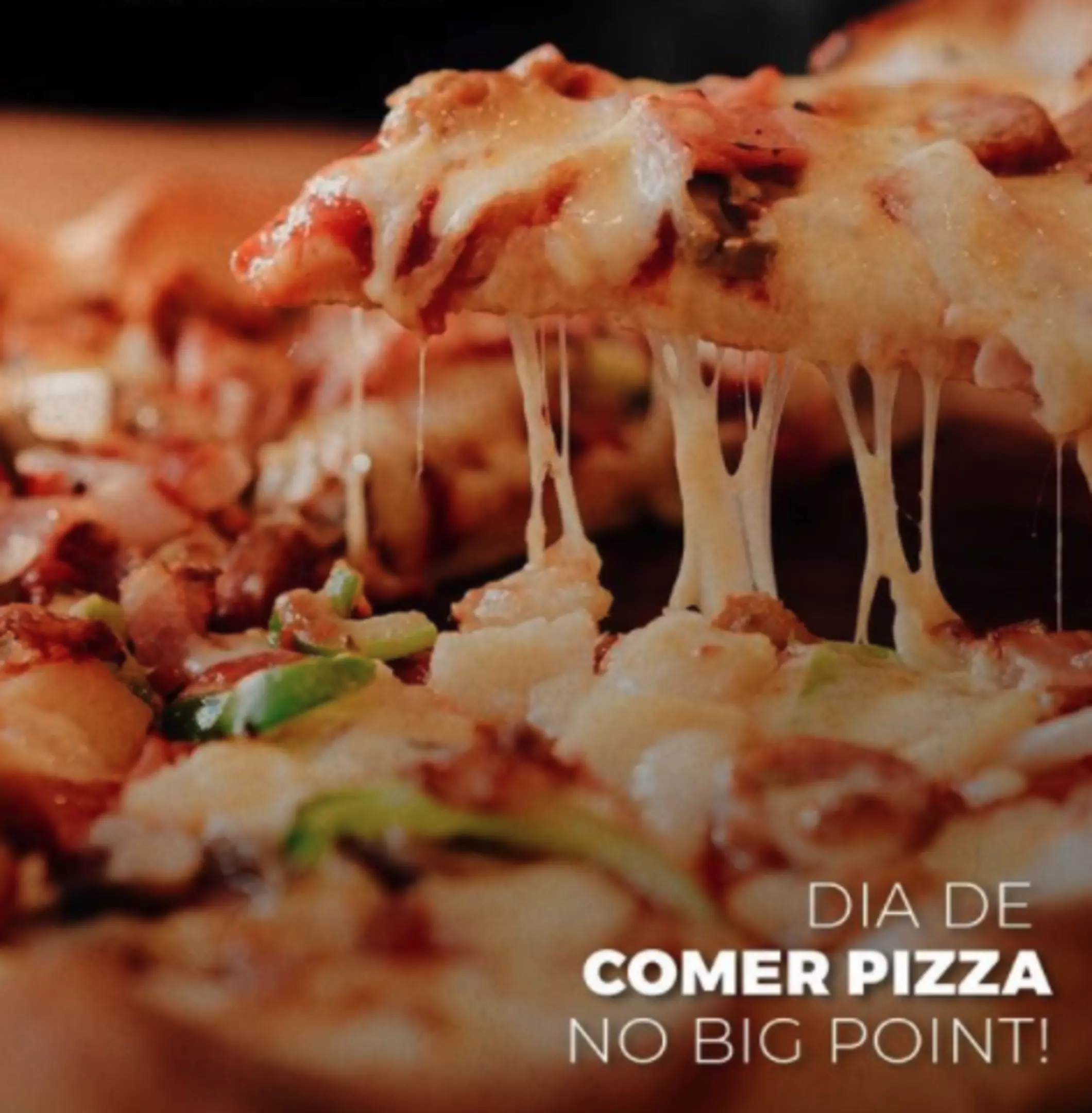 Pizzas Salgadas - sem camarão